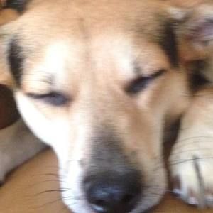 Meet your Posher, Stacee